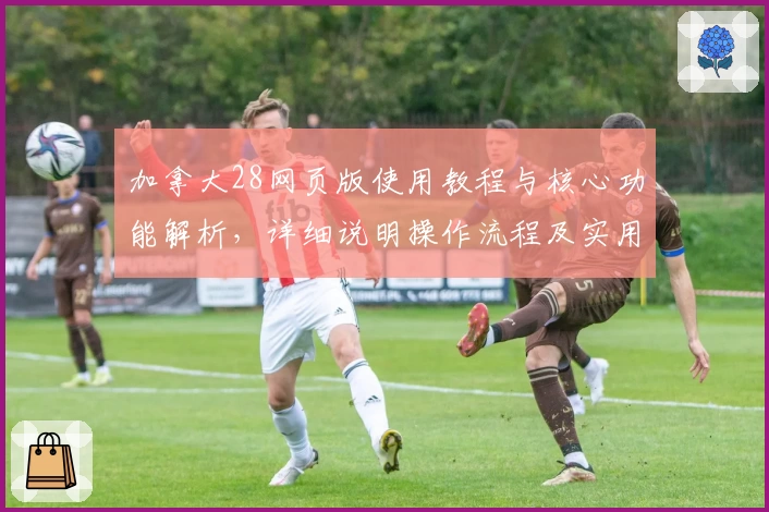 加拿大28网页版使用教程与核心功能解析，详细说明操作流程及实用技巧分享