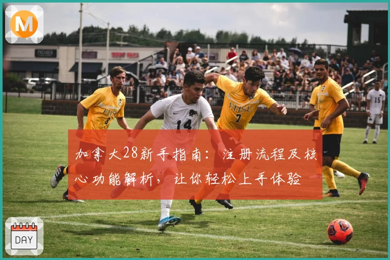 加拿大28新手指南：注册流程及核心功能解析，让你轻松上手体验