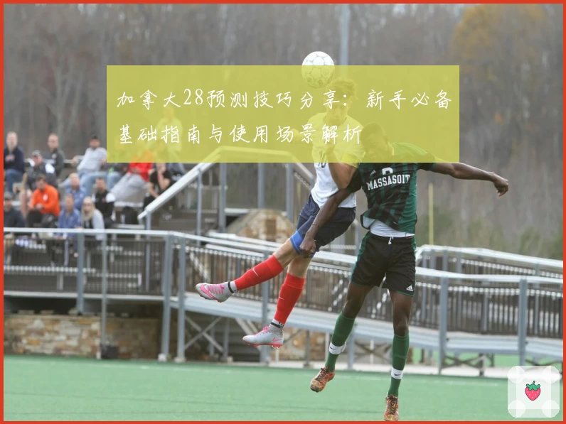 加拿大28预测技巧分享：新手必备基础指南与使用场景解析