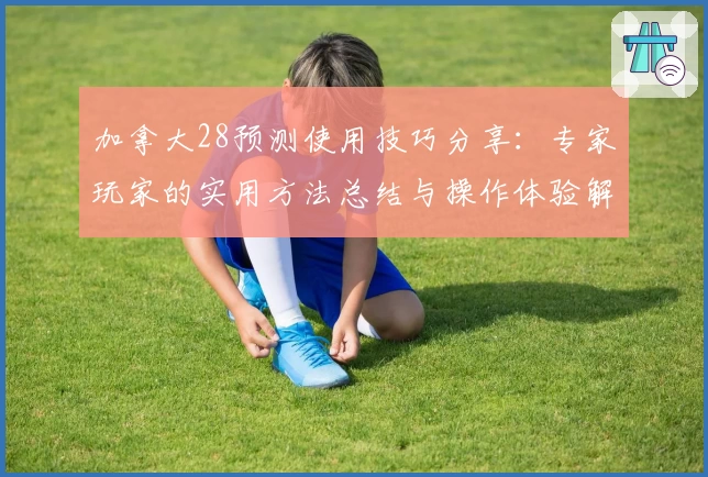 加拿大28预测使用技巧分享：专家玩家的实用方法总结与操作体验解析