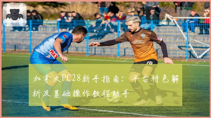 加拿大PC28新手指南：平台特色解析及基础操作教程助手