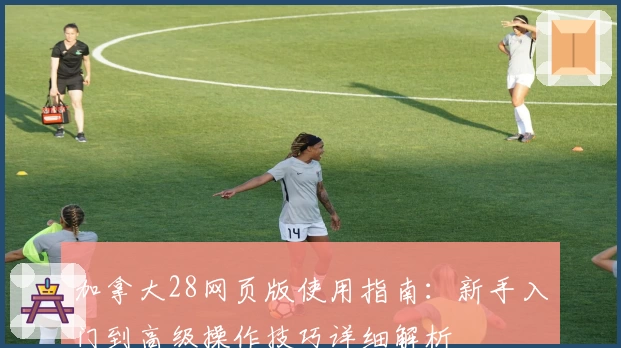 加拿大28网页版使用指南：新手入门到高级操作技巧详细解析